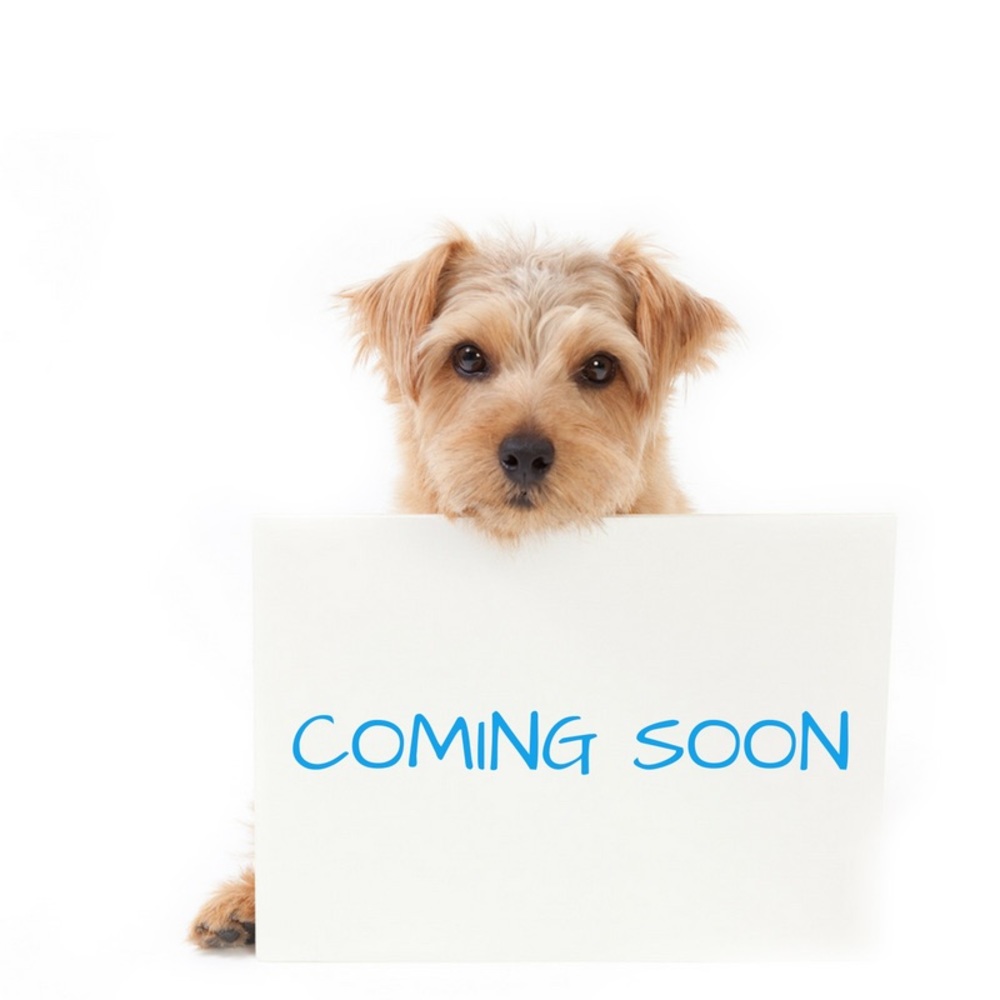 More Items Coming soon! Keep checking back! 🐶🐾❤️